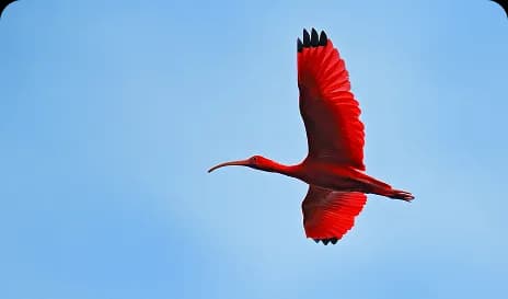 Todos os roteiros Todos os roteiros